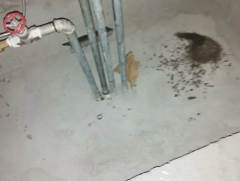 滦县卫生间测漏水价格明细