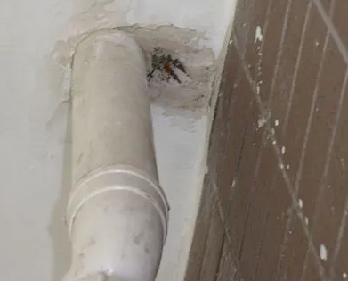 滦县漏水检测哪家好